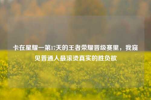卡在星耀一第17天的王者荣耀晋级赛里，我窥见普通人最滚烫真实的胜负欲
