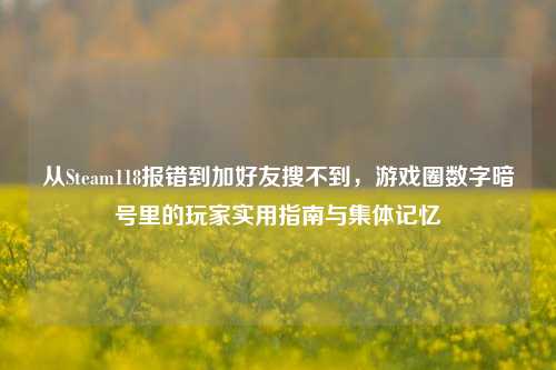 从Steam118报错到加好友搜不到，游戏圈数字暗号里的玩家实用指南与集体记忆