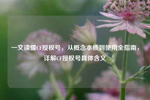 一文读懂CF授权号，从概念本质到使用全指南，详解CF授权号具体含义