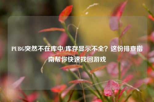 PUBG突然不在库中/库存显示不全？这份排查指南帮你快速找回游戏