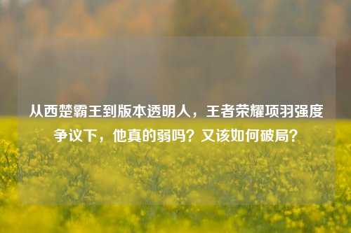 从西楚霸王到版本透明人，王者荣耀项羽强度争议下，他真的弱吗？又该如何破局？