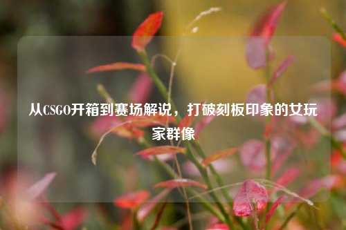 从CSGO开箱到赛场解说，打破刻板印象的女玩家群像