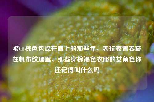 被CF棕色包焊在肩上的那些年，老玩家青春藏在帆布纹理里，那些穿棕褐色衣服的女角色你还记得叫什么吗