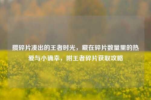 攒碎片凑出的王者时光，藏在碎片数量里的热爱与小确幸，附王者碎片获取攻略