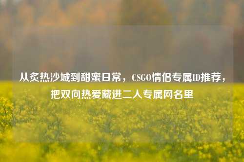 从炙热沙城到甜蜜日常，CSGO情侣专属ID推荐，把双向热爱藏进二人专属网名里