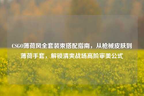 CSGO薄荷风全套装束搭配指南，从枪械皮肤到薄荷手套，解锁清爽战场高阶审美公式