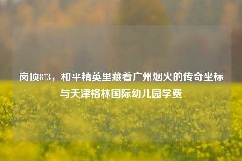 岗顶873，和平精英里藏着广州烟火的传奇坐标与天津格林国际幼儿园学费
