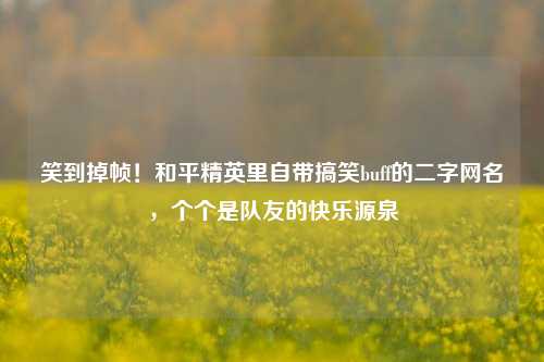 笑到掉帧！和平精英里自带搞笑buff的二字网名，个个是队友的快乐源泉