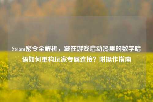 Steam密令全解析，藏在游戏启动器里的数字暗语如何重构玩家专属连接？附操作指南