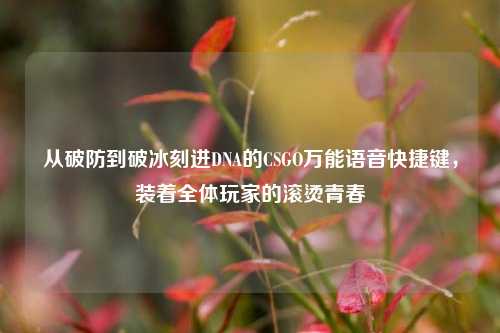 从破防到破冰刻进DNA的CSGO万能语音快捷键，装着全体玩家的滚烫青春