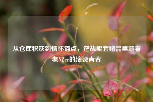 从仓库积灰到情怀锚点，逆战鲲套赠品里藏着老NZer的滚烫青春