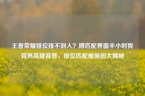 王者荣耀排位排不到人？蹲匹配界面半小时我背熟英雄背景，排位匹配难原因大揭秘