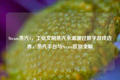 Steam蒸汽4，工业文明蒸汽余温漫过数字游戏边界，蒸汽平台与Steam区别全解