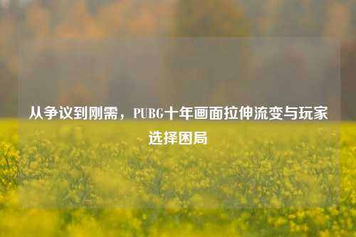 从争议到刚需,PUBG十年画面拉伸流变与玩家选择困局