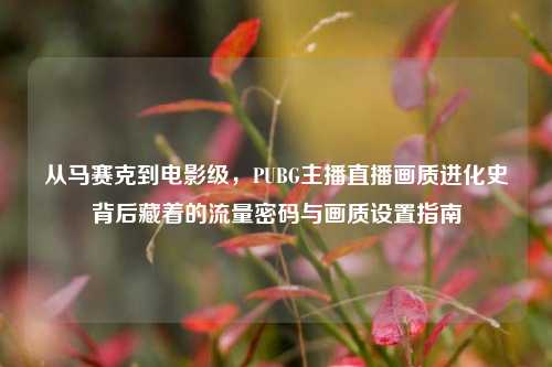 从马赛克到电影级，PUBG主播直播画质进化史背后藏着的流量密码与画质设置指南