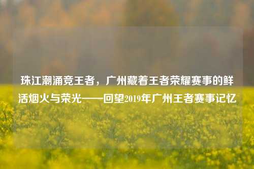 珠江潮涌竞王者，广州藏着王者荣耀赛事的鲜活烟火与荣光——回望2019年广州王者赛事记忆