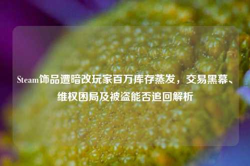 Steam饰品遭暗改玩家百万库存蒸发，交易黑幕、维权困局及被盗能否追回解析
