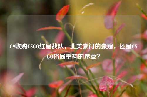 C9收购CSGO红星战队，北美豪门的豪赌，还是CSGO格局重构的序章？