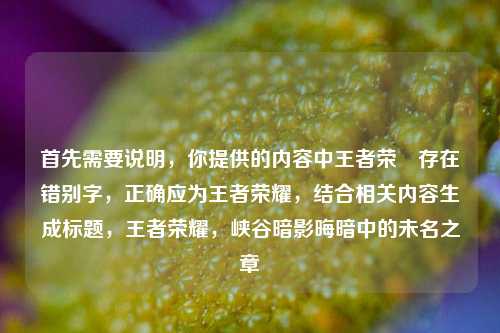 首先需要说明，你提供的内容中王者荣粎存在错别字，正确应为王者荣耀，结合相关内容生成标题，王者荣耀，峡谷暗影晦暗中的未名之章
