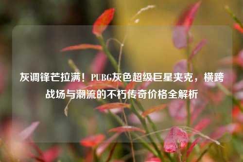 灰调锋芒拉满！PUBG灰色超级巨星夹克，横跨战场与潮流的不朽传奇价格全解析