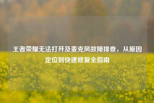 王者荣耀无法打开及麦克风故障排查，从原因定位到快速修复全指南
