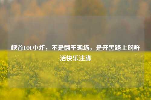 峡谷LOL小炸，不是翻车现场，是开黑路上的鲜活快乐注脚
