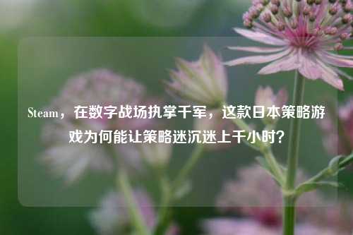 Steam，在数字战场执掌千军，这款日本策略游戏为何能让策略迷沉迷上千小时？