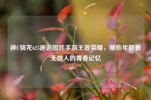 神U骁龙625邂逅国民手游王者荣耀，那些年藏着无数人的青春记忆