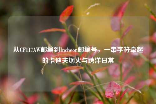 从CF117AW邮编到Incheon邮编号，一串字符牵起的卡迪夫烟火与跨洋日常