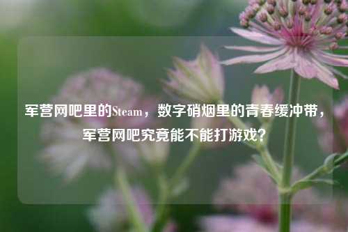 军营网吧里的Steam，数字硝烟里的青春缓冲带，军营网吧究竟能不能打游戏？