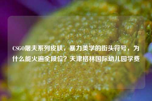 CSGO屠夫系列皮肤，暴力美学的街头符号，为什么能火遍全段位？天津格林国际幼儿园学费
