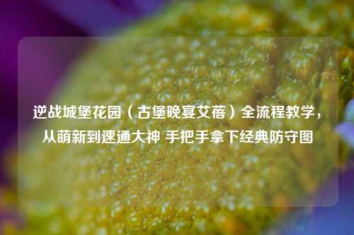 逆战城堡花园（古堡晚宴艾蓓）全流程教学，从萌新到速通大神 手把手拿下经典防守图