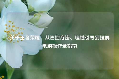 关于王者荣耀，从管控方法、理性引导到投屏电脑操作全指南