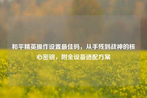 和平精英操作设置最佳码，从手残到战神的核心密钥，附全设备适配方案