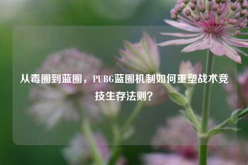 从毒圈到蓝圈，PUBG蓝圈机制如何重塑战术竞技生存法则？