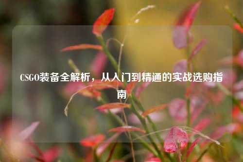 CSGO装备全解析，从入门到精通的实战选购指南