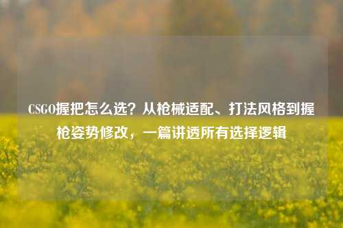 CSGO握把怎么选？从枪械适配、打法风格到握枪姿势修改，一篇讲透所有选择逻辑