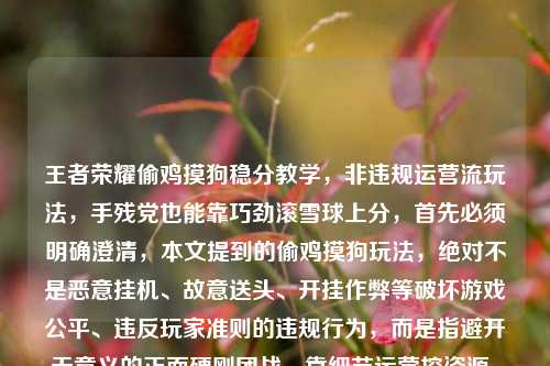 王者荣耀偷鸡摸狗稳分教学，非违规运营流玩法，手残党也能靠巧劲滚雪球上分，首先必须明确澄清，本文提到的偷鸡摸狗玩法，绝对不是恶意挂机、故意送头、开挂作弊等破坏游戏公平、违反玩家准则的违规行为，而是指避开无意义的正面硬刚团战，靠细节运营控资源、悄无声息滚雪球的巧劲思路，专门适配操作不算顶尖、不想靠硬拼操作也想稳步上分的玩家，全程不涉及任何违规操作，完全在游戏规则框架内靠意识和思路拿优势，请大家放心参考，千万别把这个玩法和恶意违规行为划等号哦。，接下来给大家拆解这套玩法的核心通关逻辑，，选人先搭适配骨