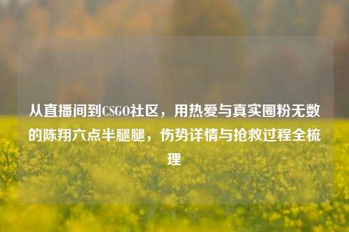从直播间到CSGO社区，用热爱与真实圈粉无数的陈翔六点半腿腿，伤势详情与抢救过程全梳理