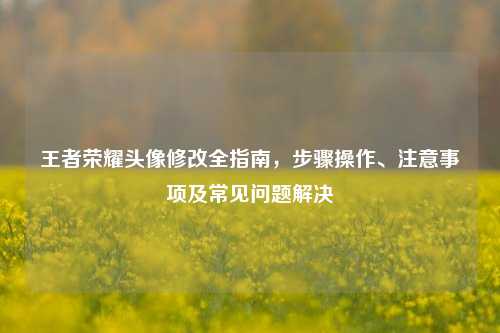 王者荣耀头像修改全指南，步骤操作、注意事项及常见问题解决