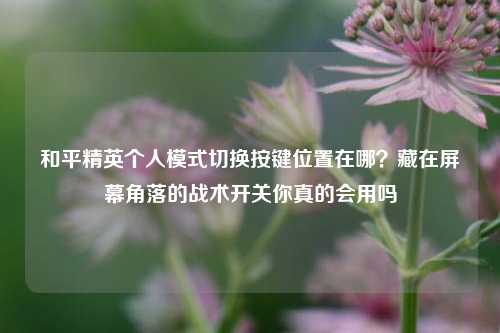 和平精英个人模式切换按键位置在哪？藏在屏幕角落的战术开关你真的会用吗