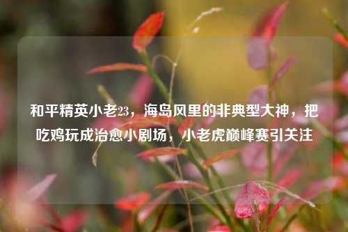 和平精英小老23，海岛风里的非典型大神，把吃鸡玩成治愈小剧场，小老虎巅峰赛引关注