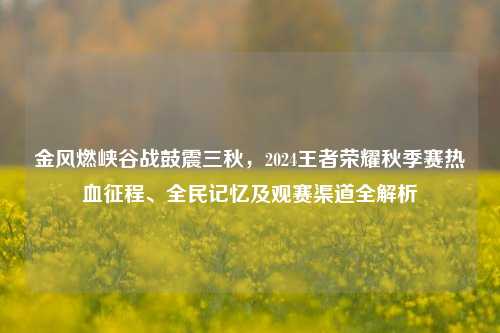 金风燃峡谷战鼓震三秋，2024王者荣耀秋季赛热血征程、全民记忆及观赛渠道全解析