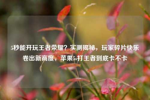 5秒能开玩王者荣耀？实测揭秘，玩家碎片快乐卷出新高度，苹果5s打王者到底卡不卡