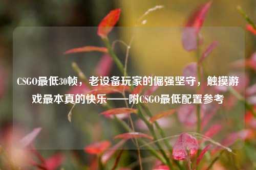CSGO最低30帧，老设备玩家的倔强坚守，触摸游戏最本真的快乐——附CSGO最低配置参考