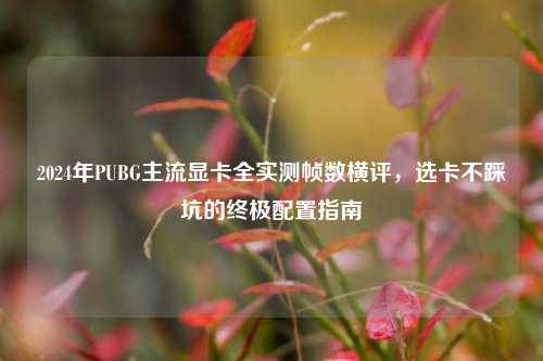 2024年PUBG主流显卡全实测帧数横评，选卡不踩坑的终极配置指南