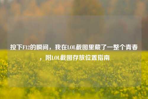 按下F12的瞬间，我在LOL截图里藏了一整个青春，附LOL截图存放位置指南