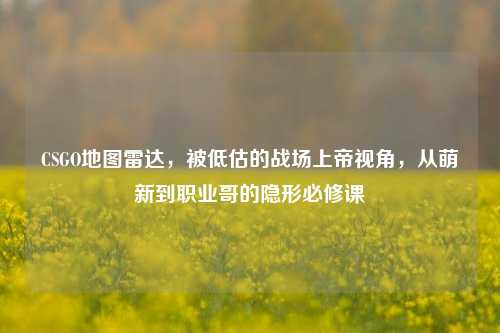 CSGO地图雷达，被低估的战场上帝视角，从萌新到职业哥的隐形必修课