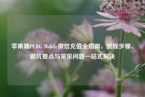 苹果端PUBG Mobile微信充值全指南，流程步骤、避坑要点与常见问题一站式解决