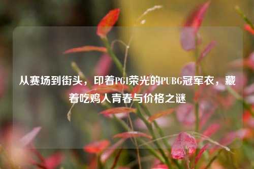 从赛场到街头，印着PGI荣光的PUBG冠军衣，藏着吃鸡人青春与价格之谜